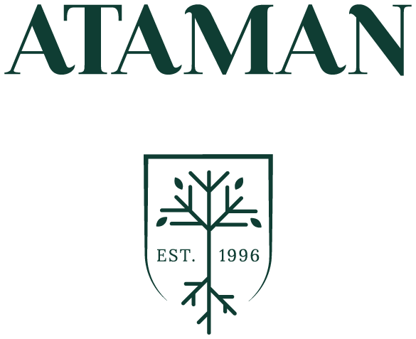 logo icon